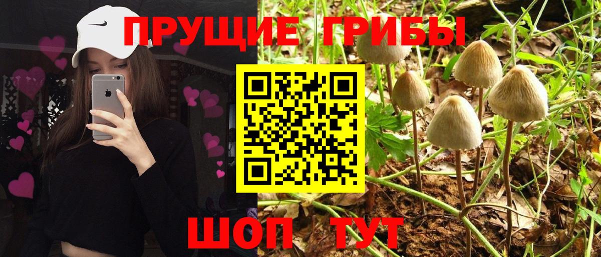 Коряжма  Галлюциногенные грибы Magic Shrooms  Вход с VPN 
